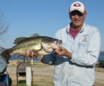 Dennis Millhouse caught this 11 lb. 7 oz. bass at Lake Fork Resort cove with a red and black chatter bait. The bass was caught in about 12 to 13 feet of water around a pear paling. Released back in to the lake in the same area.lb. 7 oz. bass