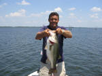Bass caught by Pro Guide Eddie Garrett