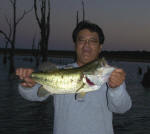 Byron Tani from Mineola, Texas caught this nice bass his first trip to Lake Fork after moving to Texas from Pittsburgh, Pennsylvania