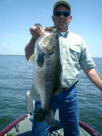 JW Peterson caught this Lake Fork trophy weighing 13.3 lbs May 8, 2008