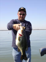 Don Politte from De Soto, Missouri caught this 10.01 bass on a 7/16 Omega Jig with a blue twin tail trailer in 27 foot of water around timber.