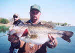 Bluford Holland from Blackwell, Texas caught this Lake Fork bass