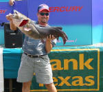 Flathead catfish Jay L. Tanzy caught while night bass fishing on Lake Fork, July 15. He was not in the Sealy Catfish tournament but they were glad to weigh it the catfish and take some pictures. The fish weighed 37lbs. 11ozs. and caught it on a Berkley 10 inch Power worm. 