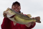 Pro Guide Tom Redington