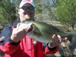 Daniel Gross was fishing with Pro Guide Larry Womack and his dad when he caught this deceit fish, his dad lost a Hog. Actually, lost 2 monster fish one just never stopped went around a tree and the line broke, the other just lost it.