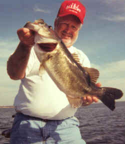 lake fork bass fishing