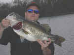 Steve Meyers from  Crest Hill, IL. caught this bass on 3/12/04 from Lake Fork.