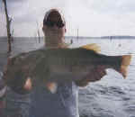 lake fork bass fishing