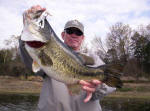 Tommy Duke from Wichita Falls with a 7 pound fish caught with Pro Guide John Tanner on 3/13 and you guessed it he was using a white Mutant by www.grandebass.com.