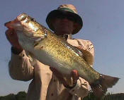 Tommy Duke from Wichita Falls with a 7.8  bass caught while fishing with Pro Guide John Tanner.