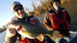 Bass caught while fishing with 