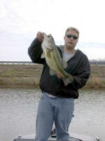 Dave Koopman of Lemont, Il., caught this 7.8 pound bass 3-7-05 around 11:30 a.m. He used the fishing reports to help find fish.