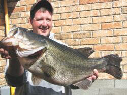 A 13.23 lb. Largemouth Bass