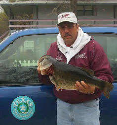 The fish weighed 13.3 lb with a 21.25 inch girth and 25.00 inch length. 