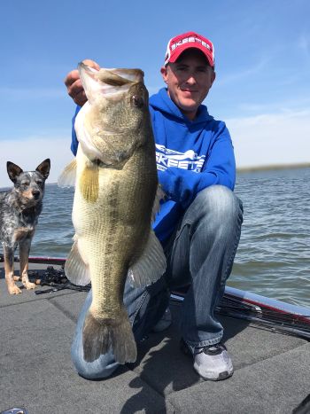 Bass caught while fishing with Guide Andrew Grills