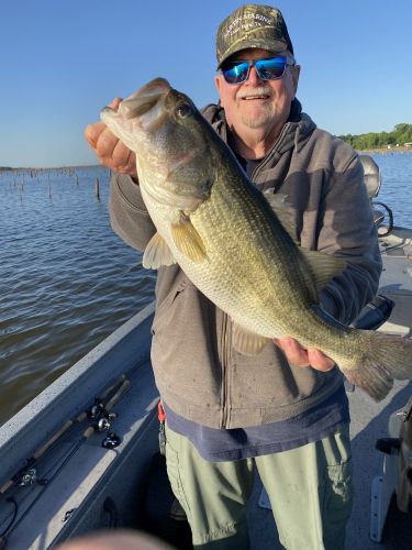 Bass  Lake Fork Guide Tom Evans