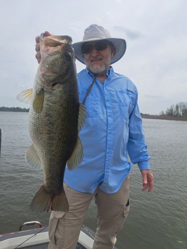 Bass caught fishing with guide David Vance